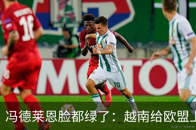 冯德莱恩脸都绿了：越南给欧盟上了一课：什么叫 “中国力量”！