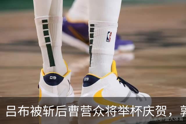 吕布被斩后曹营众将举杯庆贺，郭嘉却低声叹息：你真的斩错了