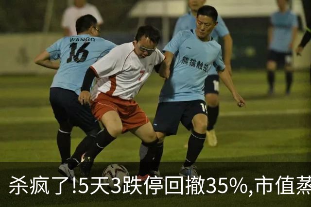 杀疯了!5天3跌停回撤35%,市值蒸发超43亿，8.6万股民全套！