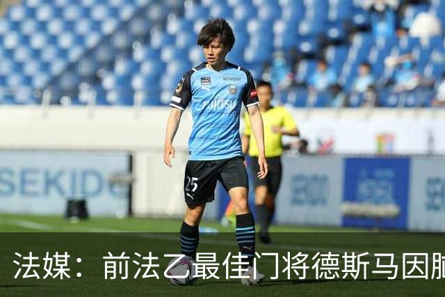 法媒：前法乙最佳门将德斯马因脑震荡后遗症宣布退役