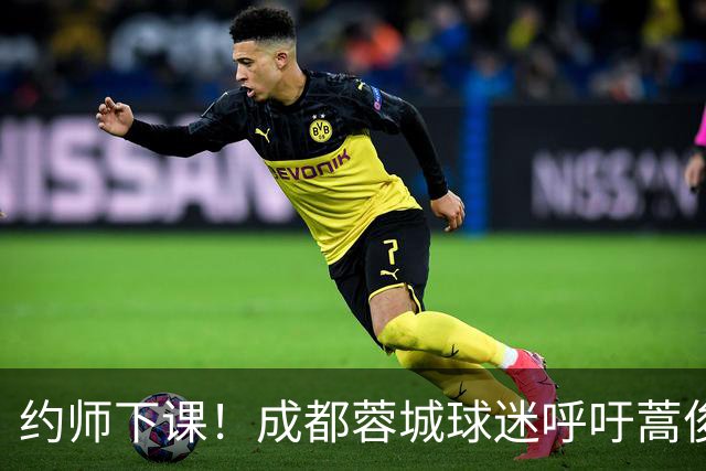 约师下课！成都蓉城球迷呼吁蒿俊闵挂帅，他对山东泰山最了解