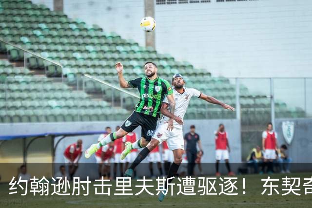 约翰逊肘击里夫斯遭驱逐！东契奇15分难救主，掘金仍15分大胜湖人
